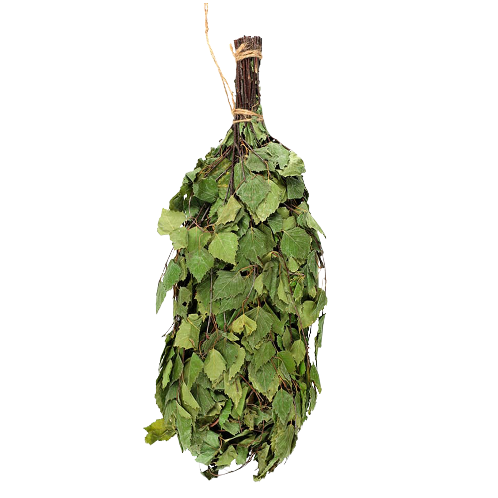 Rento Birch Vihta (Sauna Whisk)